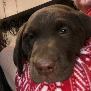 Meet your Posher, Cyndi